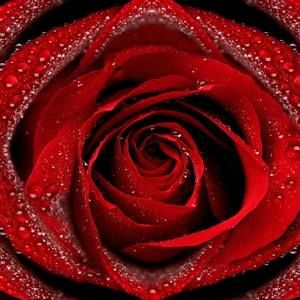 Meet your Posher, Sergio